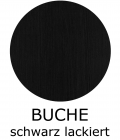 21-buche-schwarz-lackiert667EF9B5-B92F-1149-A016-3B607E219106.png